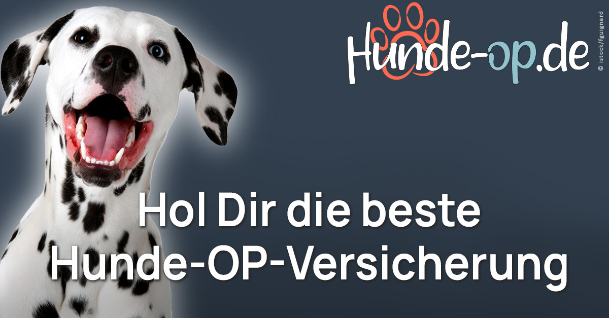 (c) Hunde-op.de